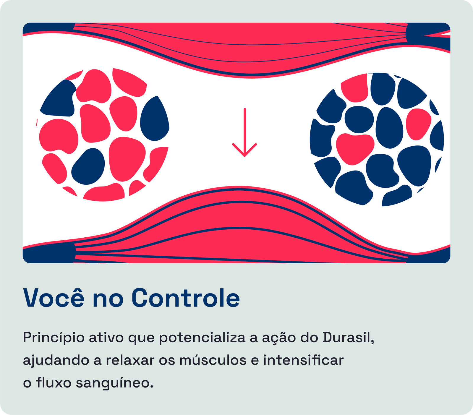 Ingredientes Durasil